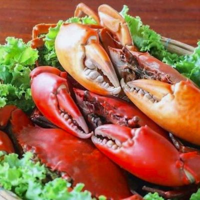แพจันทบุรีโฮมสเตย์ ผู้ใหญ่ขาว