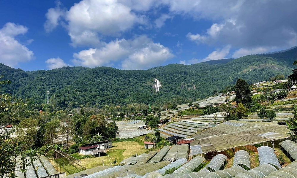 บ้านพักสวนดอกไม้ ดอยอินทนนท์ เชียงใหม่